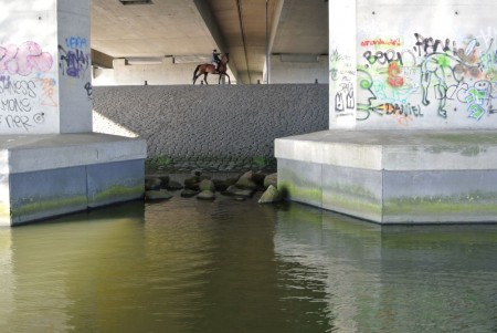 Paard onder de A10