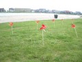 Rode molentjes in het Diemerpark