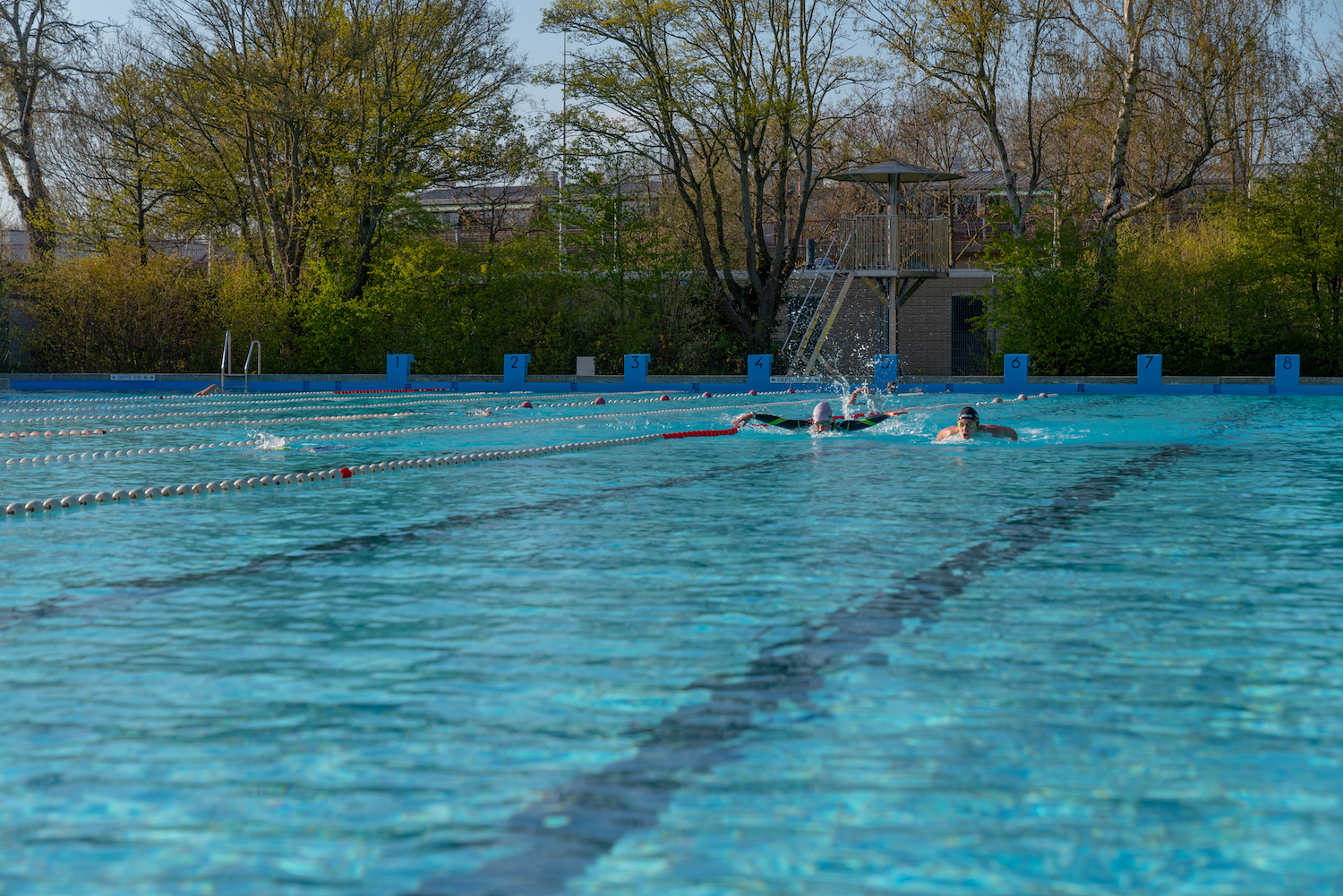 Flevoparkbad Weer Open Topzwemmer Zwemt In Recordtijd Keer Een Mijl