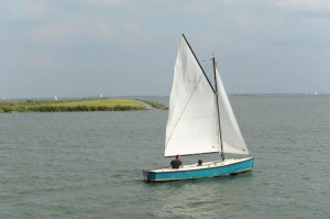 Natuurprojecten bij IJburg afgerond, natuureiland overgedragen aan stadsdeel Oost