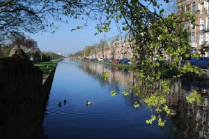 Zeldzame 35mm-vertoning van vergeten film Krokodillen in Amsterdam bij Kriterion