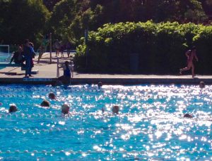 Zwemvierdaagse Flevoparkbad