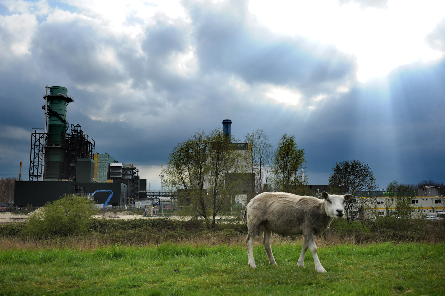 Milieuvergunning biomassacentrale Diemen vernietigd