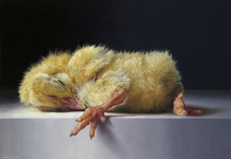 Expositie ‘De Laatste Aai’ in Museum Tot Zover