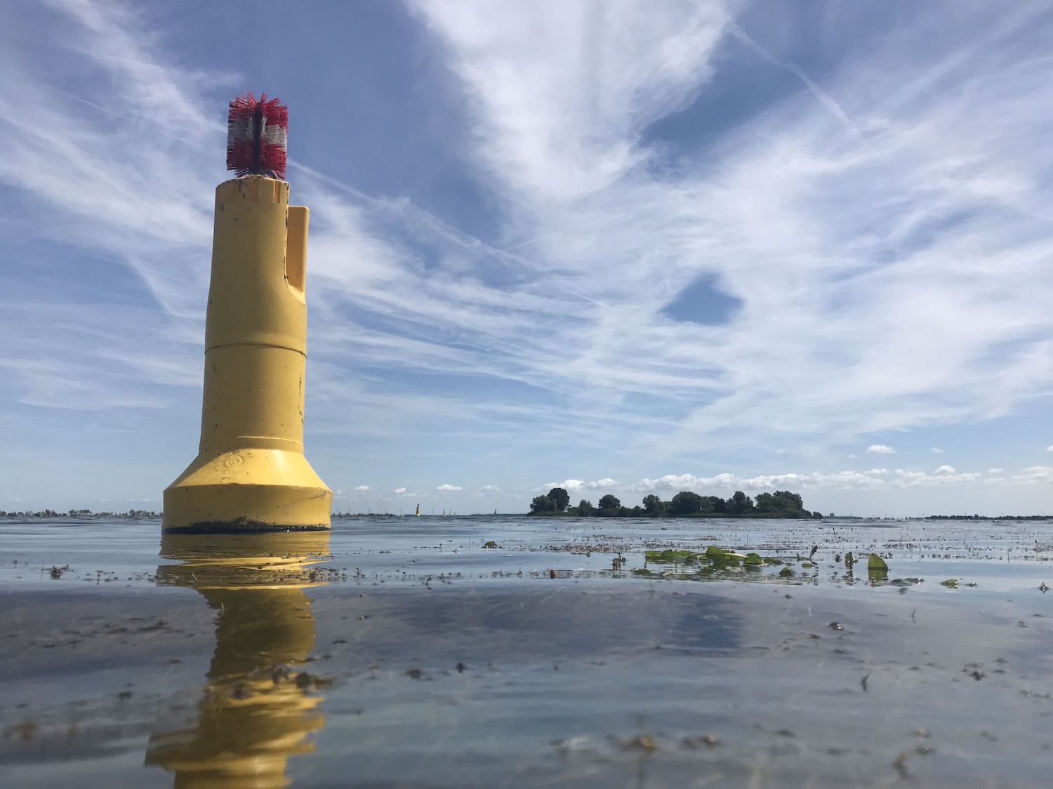 Waterplanten IJmeer gemaaid