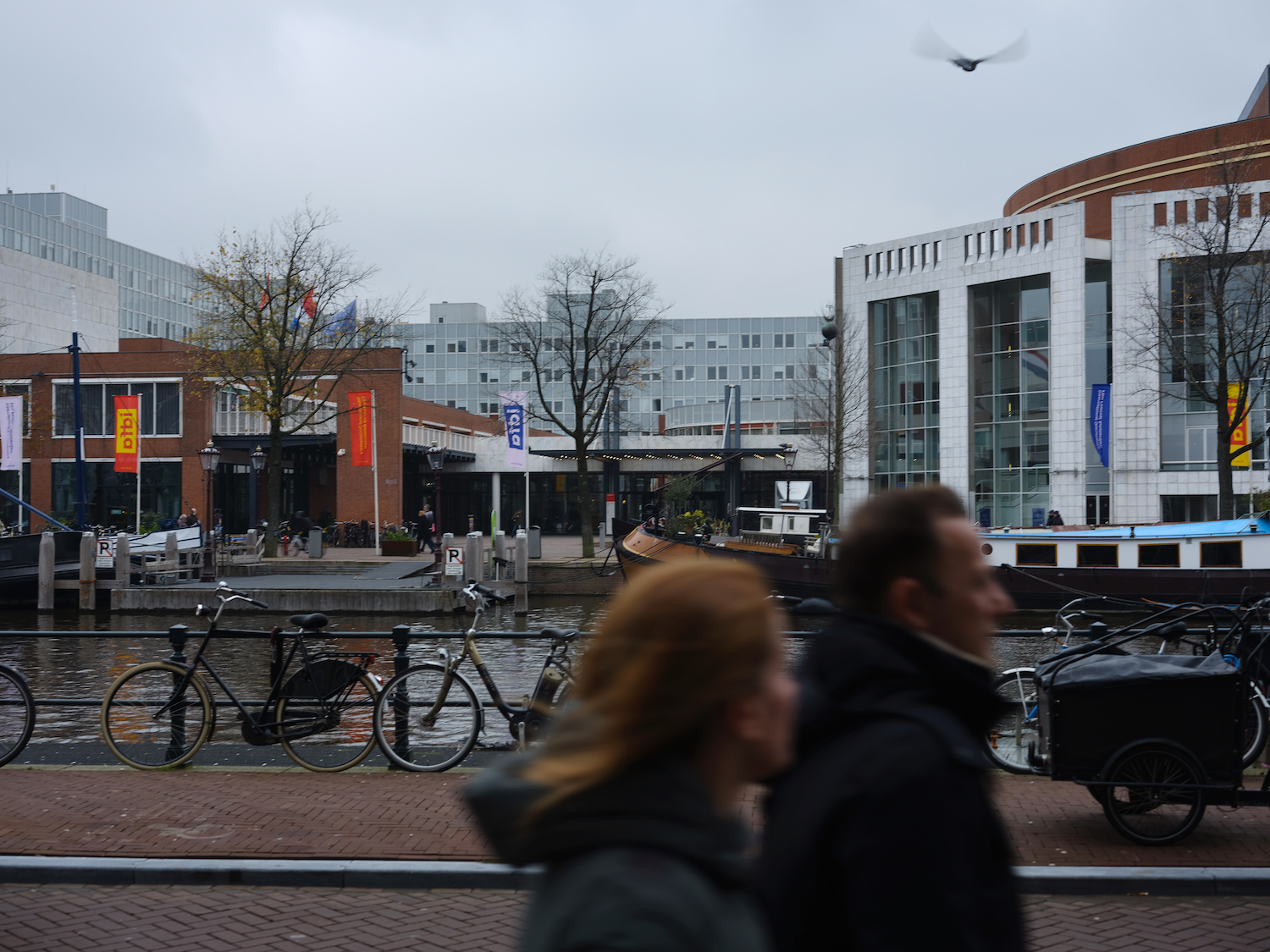 ‘Wie durft de hand te bijten die hem voedt?’