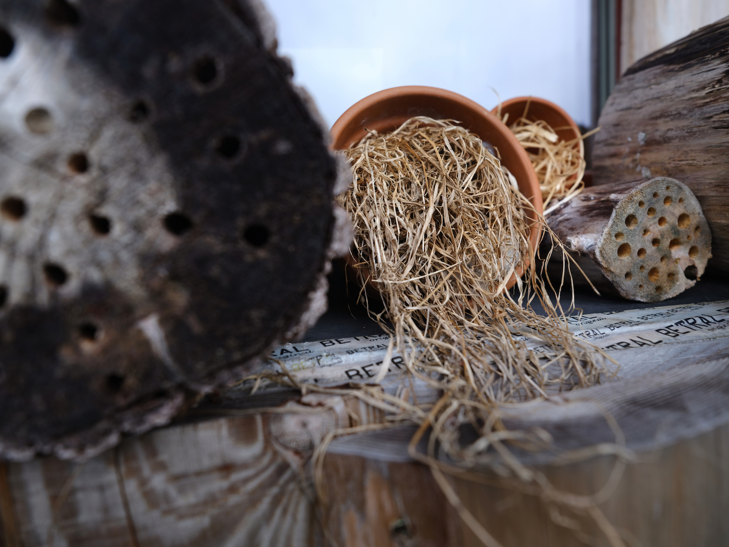 Tips voor een groener Oost: Een insectenhotel maken