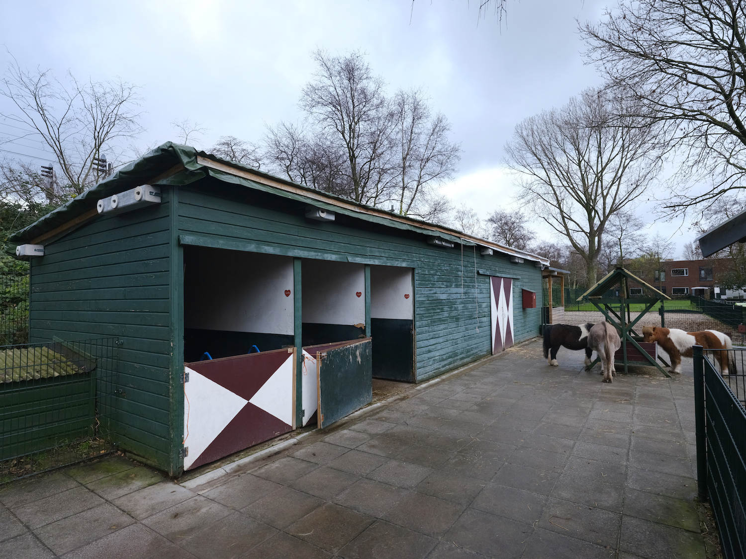 Amsterdam helpt de huismus