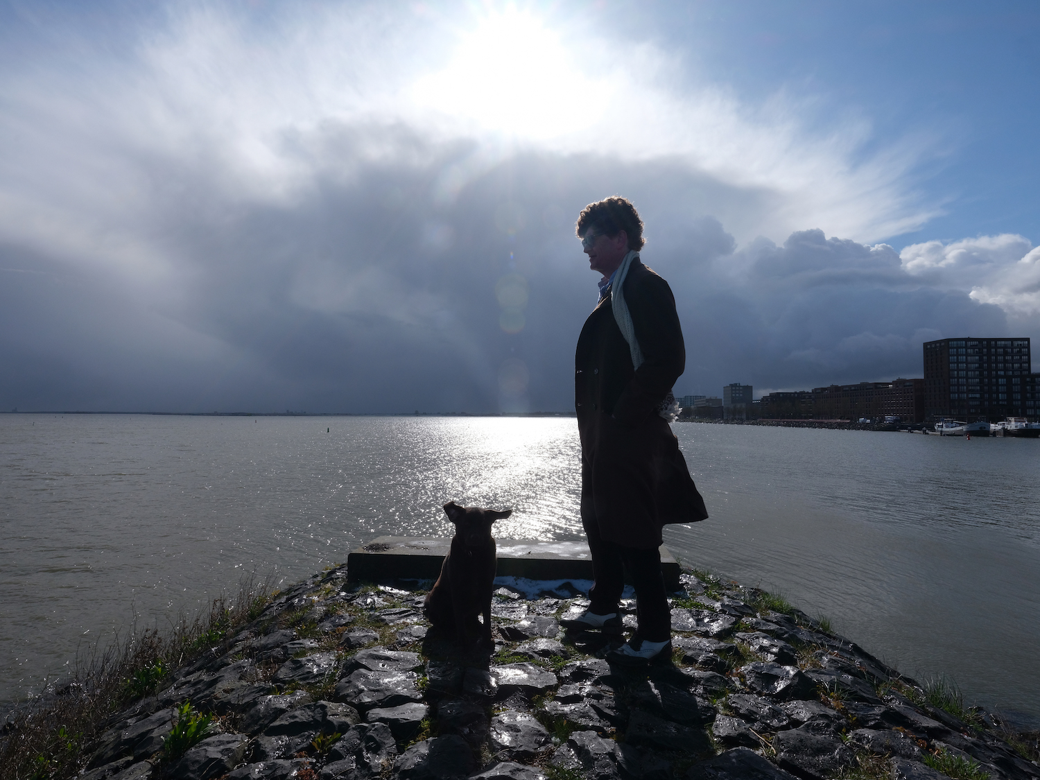 Het Licht, 5 sterren: ‘In de verte een vuurtoren, een baggerschip, Pampus, Almere. Prachtig, schitterend’