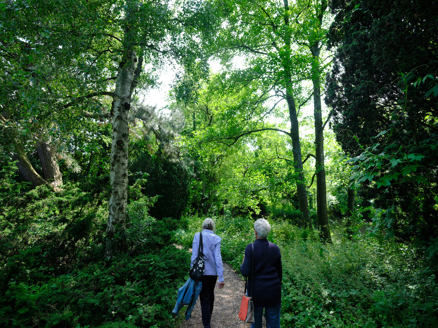 Groene wandelroutes van TuinTrailOost