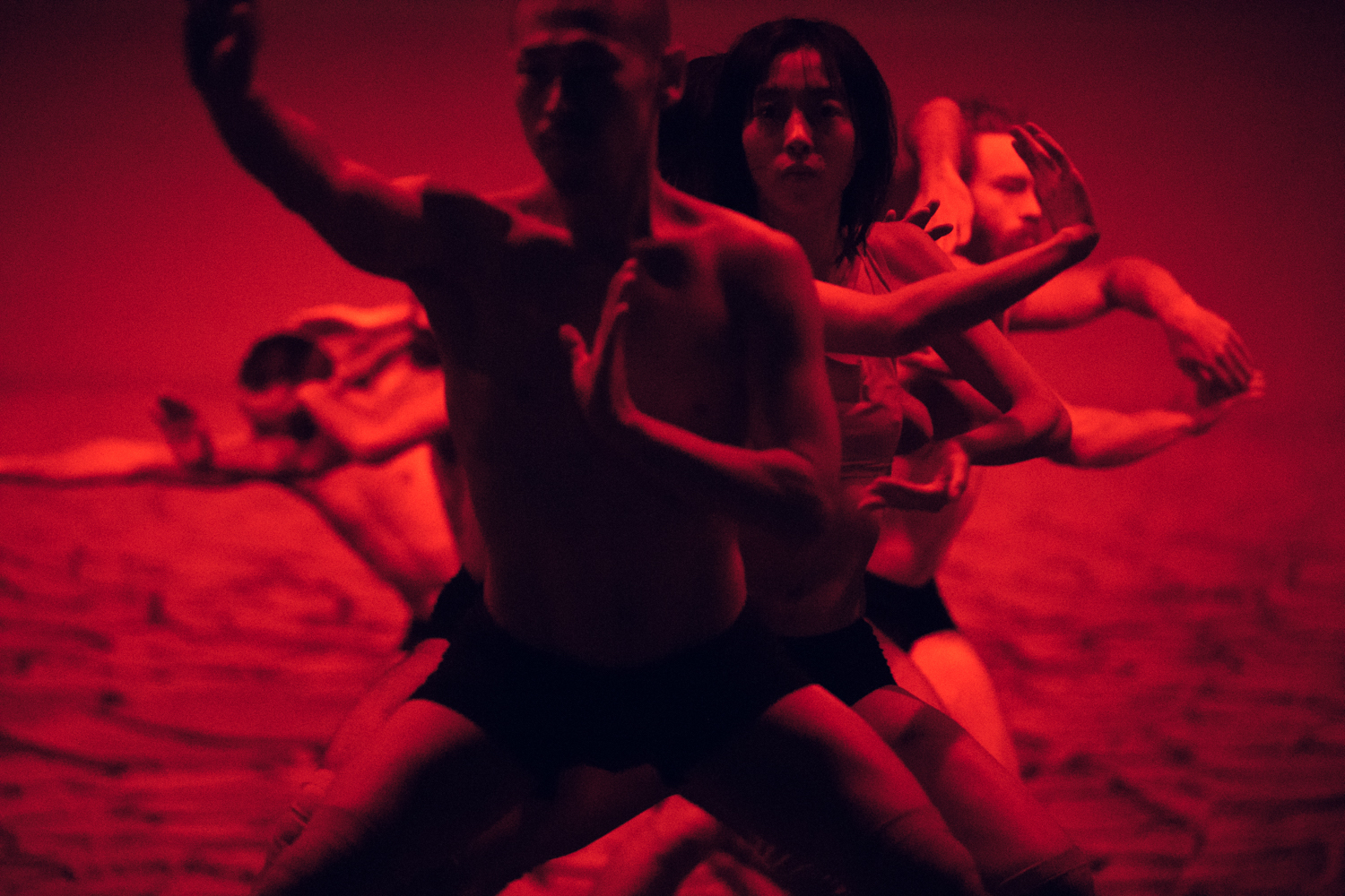 Festival Lieve stad, ode aan de stad en Amsterdammers, vanaf 25 maart