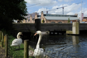 De populairste babynamen van 2025