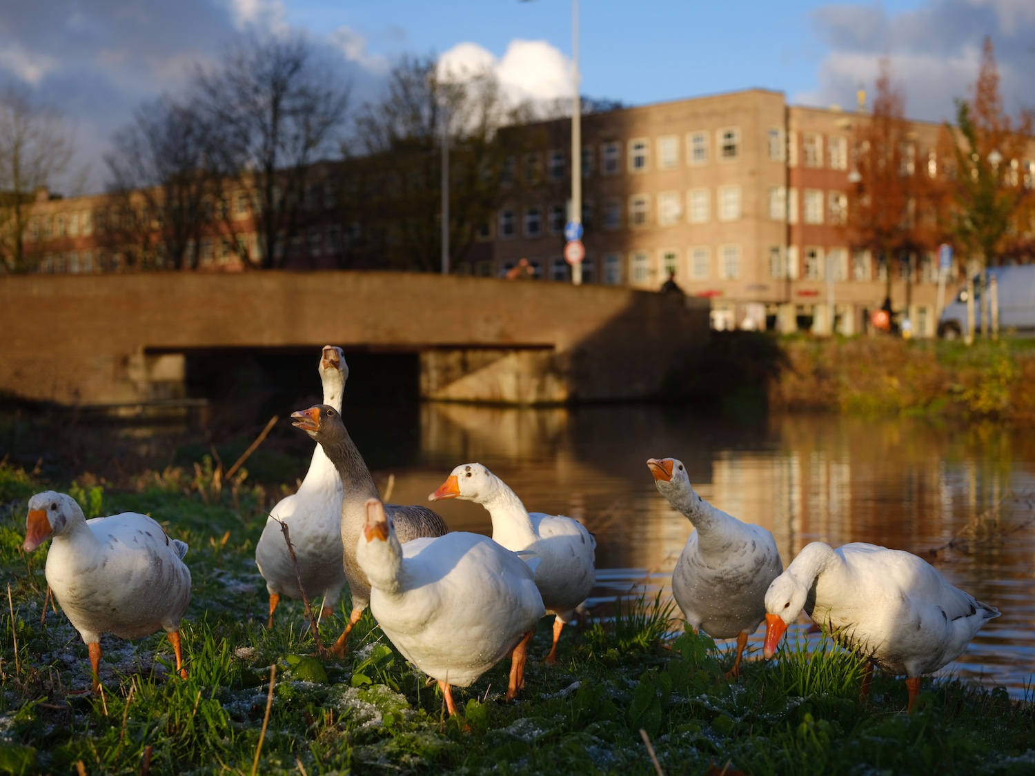 Duurzaamheidsmarkt in het Stadsloket op 22 november