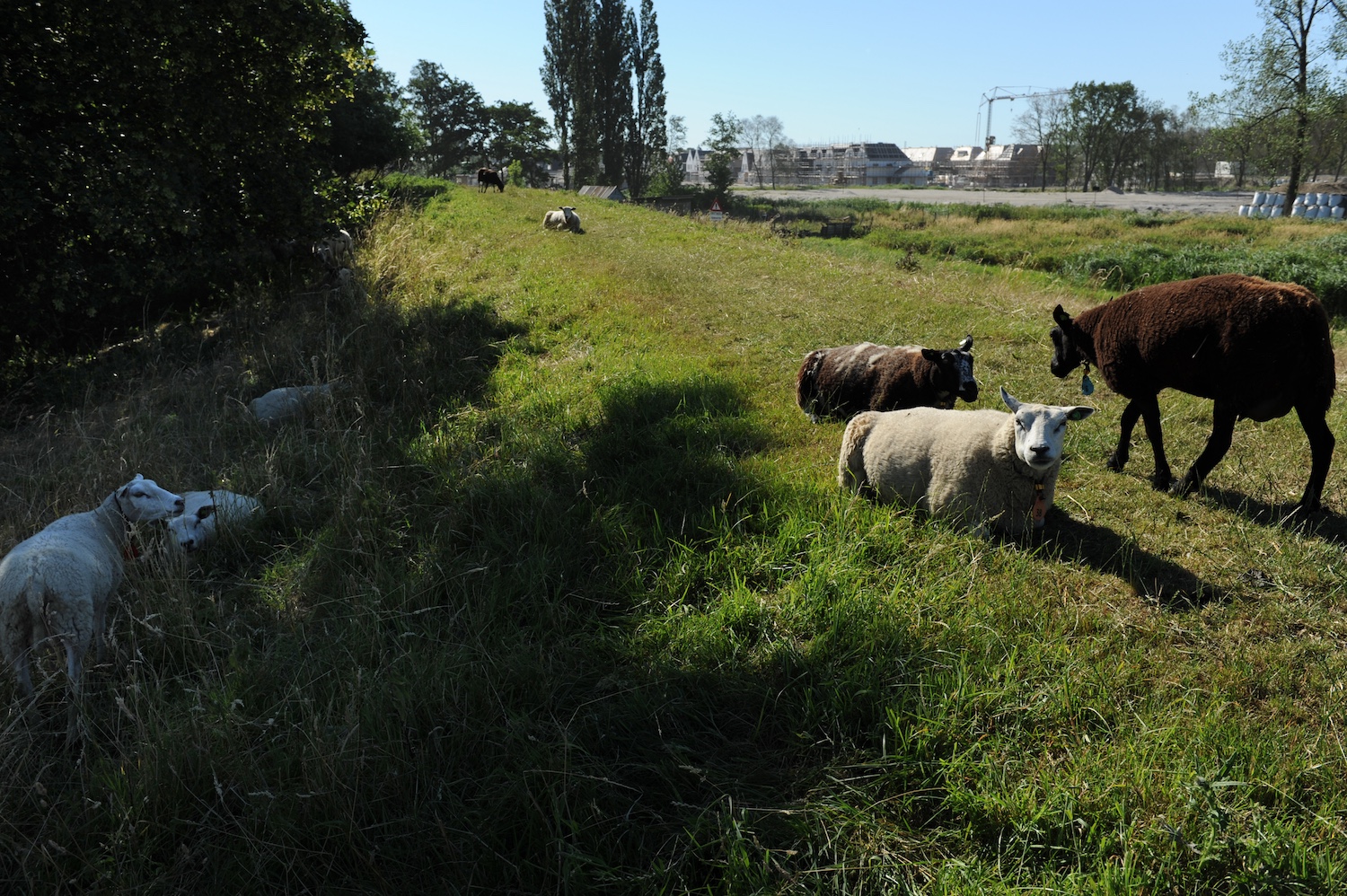 Wandelpad en fietspad tussen IJburg en Muiden uitgebreid