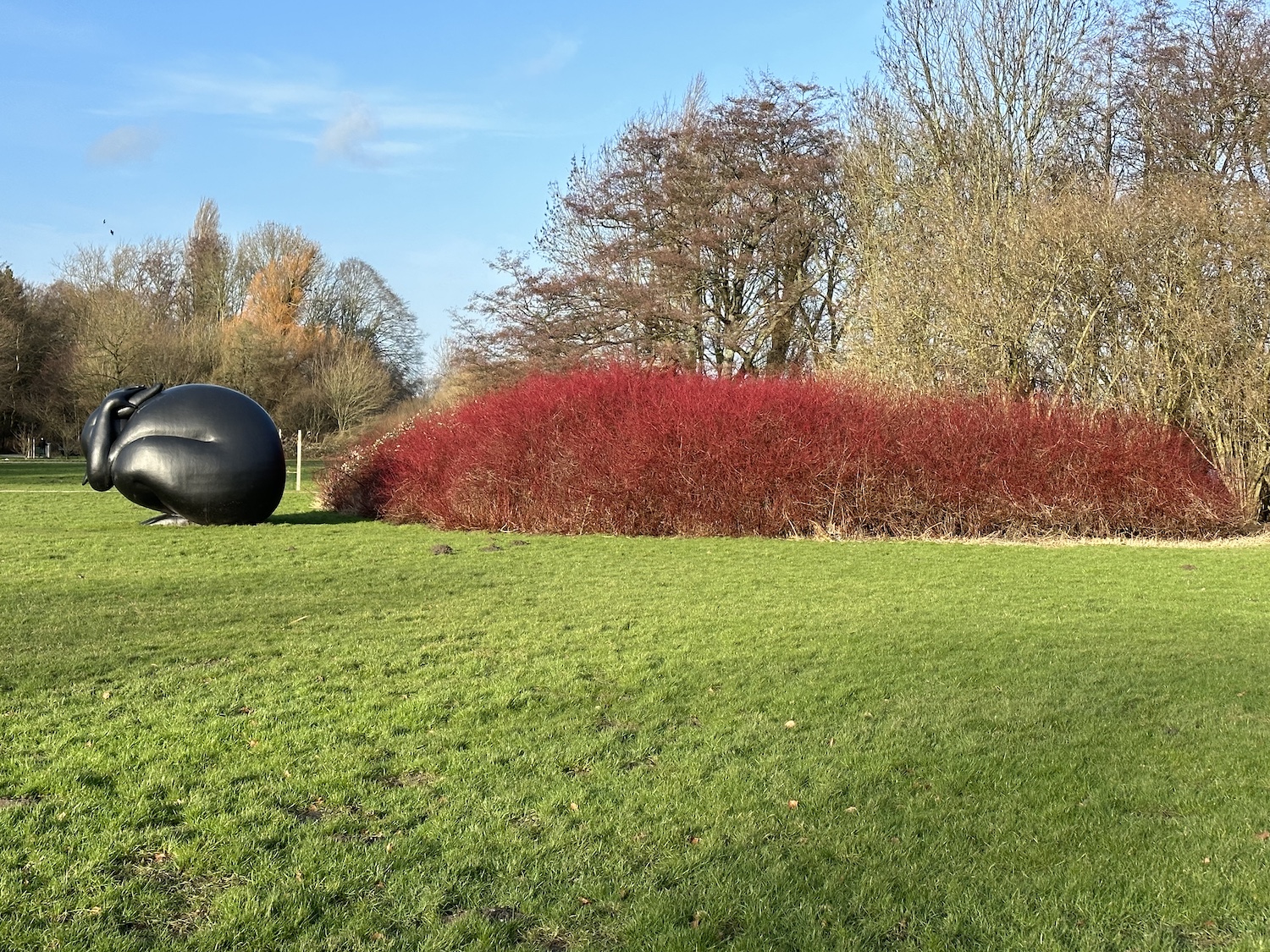 Angsthaas in het Flevopark