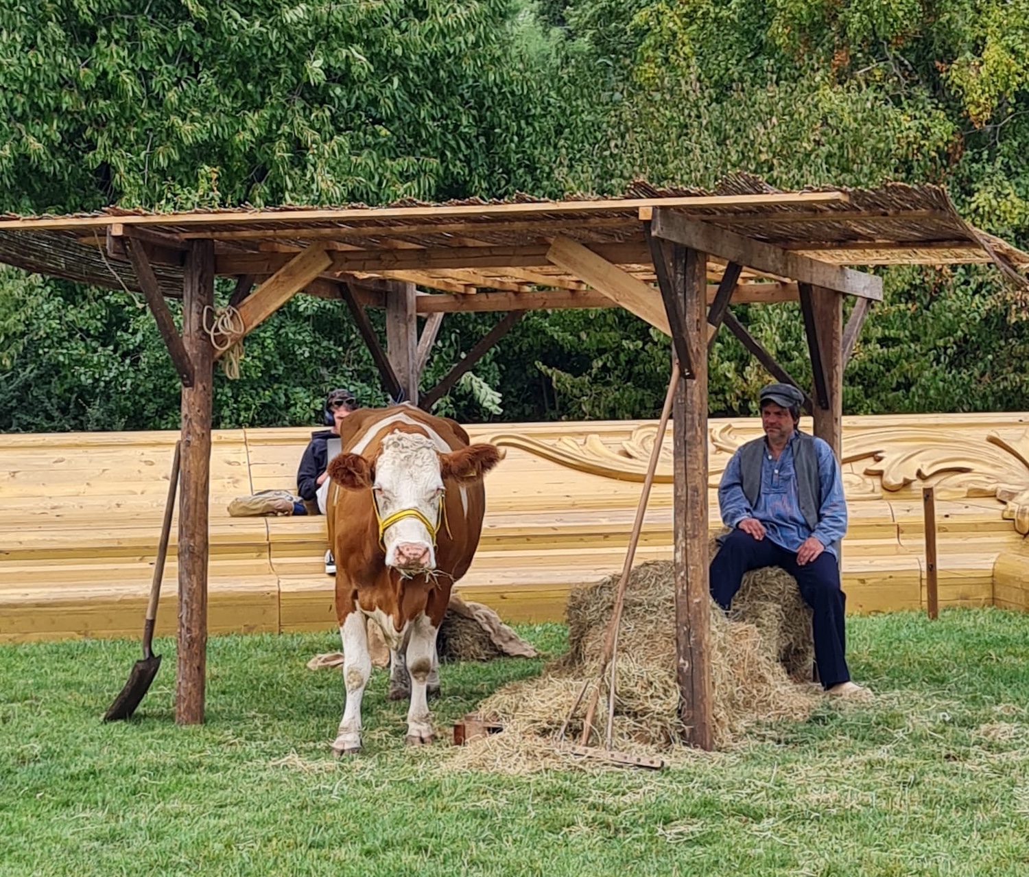 Koeien in Oosterpark, een levend schilderij