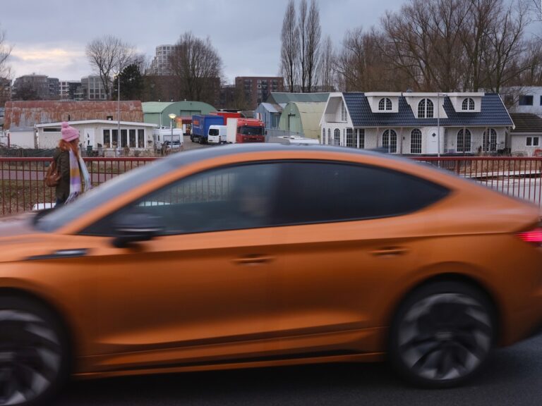 Baaibuurt klaargemaakt voor huizenbouw: Waar gaan de Petalo’s wonen?