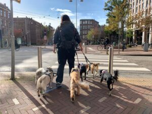 Bijeenkomst veiligheid op straat: Ouders in Oost krijgen tips tegen jeugdoverlast