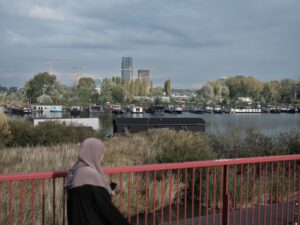 432 Bomen gekapt in de Baaibuurt