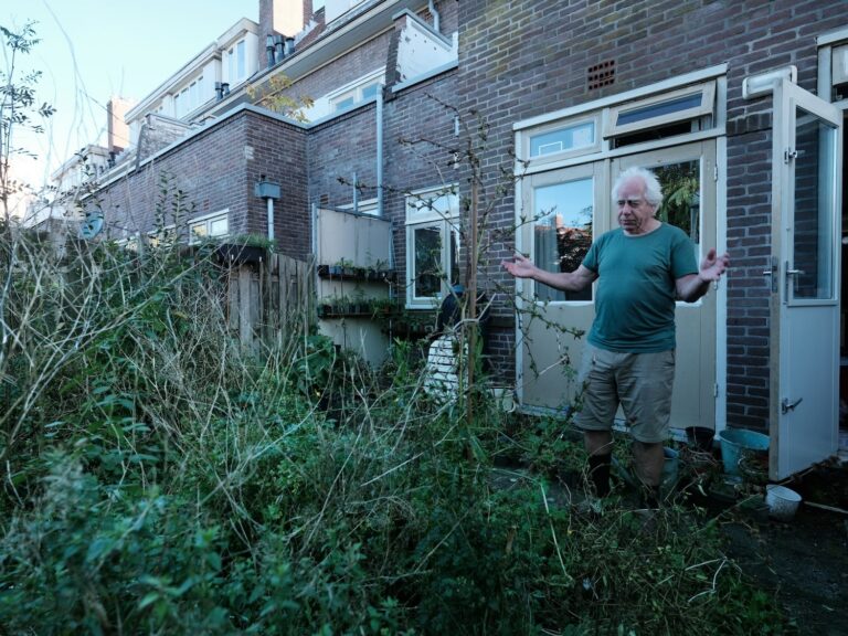 Schaaltjes water en kattenbrokken: Alles voor de egels in Betondorp
