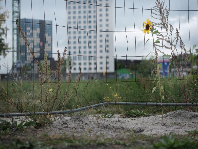 Lege vlakte bij Weespertrekvaart wordt plantsoen
